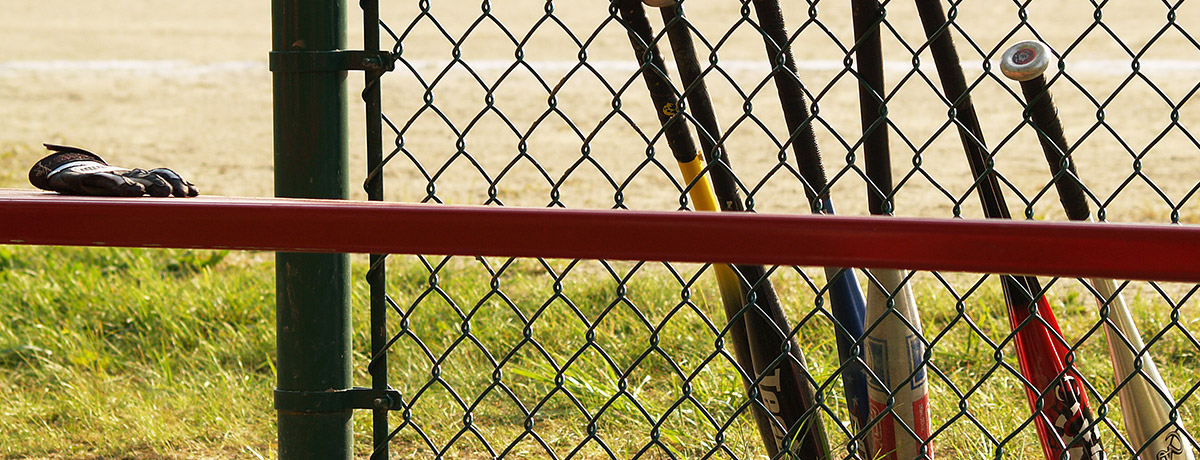 Several baseball bats lined up against the backstop